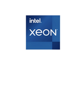 Intel Xeon E-2324G / 3.1 GHz processor - Box